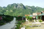 Nhiều nghi vấn ở vụ 2 cây sưa trăm tỷ bị trộm ở rừng Phong Nha-Kẻ Bàng