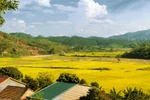 Góc ảnh: Vẻ đẹp hoang sơ của núi rừng Dakglei Kontum
