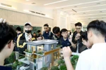 Muốn xét tuyển vào ngành Kiến trúc cảnh quan, thí sinh cần thi những môn nào?