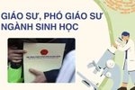 Nên giao trách nhiệm về xét duyệt và bổ nhiệm GS, PGS cho trường đại học