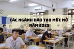 CSGDĐH dự kiến mở thêm nhiều ngành, chương trình đào tạo đại học mới từ năm 2025