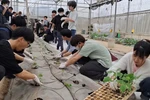 Sinh viên Trường Đại học Nông Lâm, Đại học Thái Nguyên trong một buổi học thực hành. Ảnh: website nhà trường.