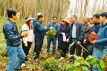 Ngành Lâm học ngày càng ít thí sinh đăng ký, đề xuất có chính sách như sư phạm