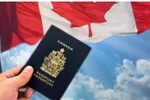 Canada siết chính sách du học, sinh viên Việt Nam cần chuẩn bị gì?
