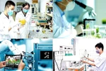 Nên cho phép chuyên viên cũng được chủ nhiệm đề tài KHCN cấp bộ