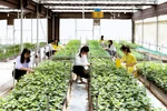 Ngành Nông học đào tạo thích ứng nông nghiệp thông minh, công nghệ cao