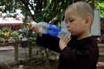 Những hình ảnh không thể cầm lòng khi đến thăm ngôi chùa Bồ Đề -Hà Nội