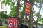 Chướng mắt với những biển quảng cáo trên các cột điện