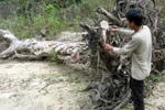 9 vụ cưa bom - mìn đau lòng xảy ra trong vài năm qua