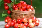 9 thực phẩm giúp bạn vui vẻ, hưng phấn trong mùa đông
