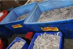 Phát hiện 4 tấn nội tạng heo bốc mùi hôi thối
