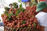 Ấn Độ có gạo, Na Uy có Cá hồi, còn Việt Nam có thương hiệu gì?