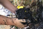 Công an Hòa Bình đang điều tra vụ nước nhiễm dầu