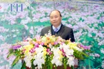 Cần nhiều hơn nữa các doanh nghiệp tầm cỡ, những con sếu đầu đàn