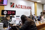 Lãnh đạo nào ở Agribank phải chịu trách nhiệm khi tăng chi tiền tỷ in lịch Tết?