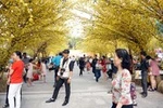 Phố ông đồ Sài Thành nhộn nhịp ngày Tết