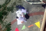 Nam thanh niên rơi từ tầng cao trong trường Đại học Công nghệ