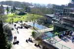 Cơ hội phỏng vấn học bổng tại Bath-“University of the year"