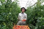 Thiếu nhân lực, điểm chuẩn thấp nhưng ngành nông - lâm vẫn khó tuyển sinh