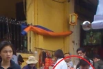 Video: Gã ăn xin thu nhập nghìn đô lại van lơn, xin tiền 