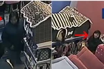 Video: Hai nữ quái “chôm” sạch tiền cửa hàng bán đồ cho thú cưng