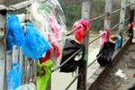 Chùm ảnh: Ông Táo lên trời, rác còn ở lại trần gian