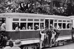Hà Nội: Nhìn xe bus nay nhớ tàu điện xưa…