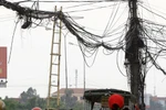 Kinh hoàng “mạng nhện” khổng lồ giữa Thủ đô