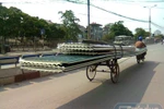 Chùm ảnh: Muôn kiểu xe "tự biên tự diễn" không đụng hàng ở Hà Nội