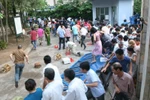 Chùm ảnh: Đạp đổ cổng xin học cho con, cảnh chỉ có ở Việt Nam?