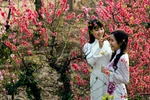 Minh triết mùa xuân