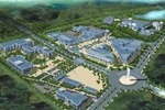 Thủ tướng: Không nhất thiết mỗi trường đại học phải có một sân bóng đá