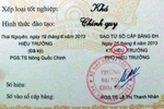 Vụ 700 bằng mắc lỗi chính tả: Nhà trường gửi lời xin lỗi sinh viên