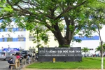 Đảm bảo khách quan khi thanh tra toàn diện Đại học Hoa Sen