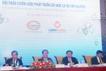 Sẽ trồng 250.000 ha cây mắc ca tại Tây Nguyên