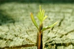 Đáng nể bài thi: Sự tôn nghiêm thiêng liêng