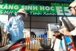 Xăng sinh học sẽ được sử dụng đại trà