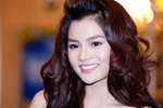 Vũ Thu Phương giải nghệ