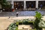 Sợ môn sử, đâu chỉ học sinh!