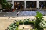 Sợ môn sử, đâu chỉ học sinh!