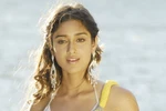 Ngẩn ngơ vì hot girl Ấn Độ của phim remake Ba chàng ngốc