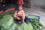 Cầu kỳ món bánh chưng "ngon nhất xứ Bắc"