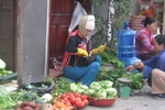 Chớm rét, rau từ "rẻ như bèo" vụt tăng giá chóng mặt