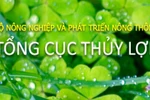 Thay đổi cơ cấu tổ chức của Tổng cục Thủy lợi