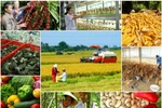 Năm 2019, ngành nông nghiệp phấn đấu xuất khẩu tối thiểu 43 tỷ USD