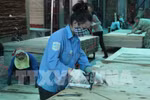 Phát triển bền vững ngành công nghiệp chế biến gỗ phục vụ xuất khẩu