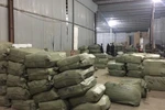 Bắt giữ hàng chục tấn dược liệu nhập lậu từ Trung Quốc