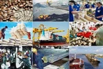 Tập trung tháo gỡ vướng mắc về thể chế, tạo động lực cho sản xuất kinh doanh