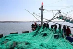 Quy chế hoạt động của Ban chỉ đạo quốc gia chống khai thác hải sản bất hợp pháp