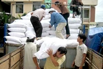 Chính phủ xuất cấp gạo cho 5 địa phương
